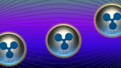 每位投资者在进行下一次转账前都应该听听的 300 万美元 XRP 悲剧经历